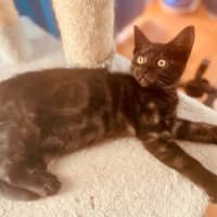 Photo of Rumor & Cider