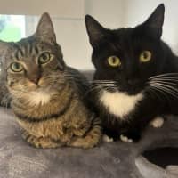 Photo of Coco And Mocha 