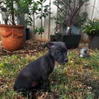 Photo of Zoe