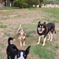 Photo of Ace Ventura