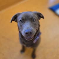 Photo of Ivy
