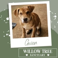 Photo of Gwen