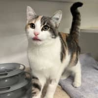 Photo of Marcie