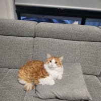 Photo of Jasper