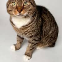 Photo of Tom