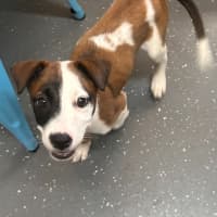 Photo of Kiah (Ex Ash)