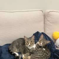 Photo of Leo And Theo