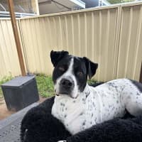 Photo of Penelope