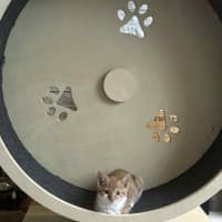 Photo of Elodie & Etienne