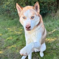 Photo of Chase