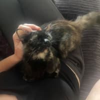 Photo of Heidi  🥰