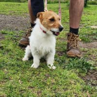 Photo of Desley (64289)