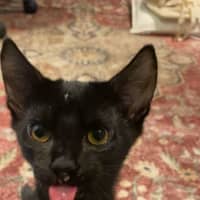 Photo of Bella