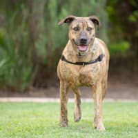 Photo of Cinnamon