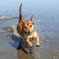 Photo of Milly Milly