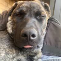 Photo of Whisky 🥃