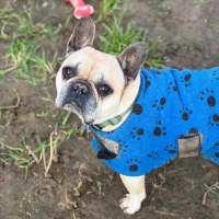 Photo of Gus