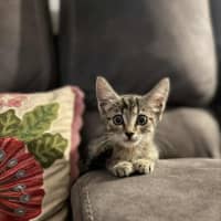 Photo of Lumy