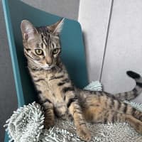 Photo of Sid