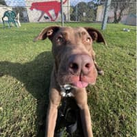 Photo of Zoe