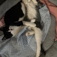 Photo of Bruce And Macey