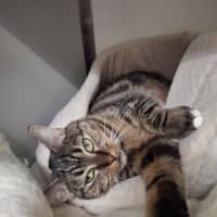 Photo of Polly