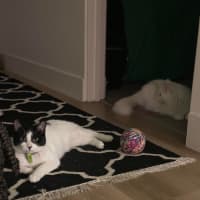 Photo of Will & Grace