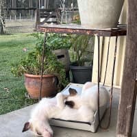 Photo of Elsa