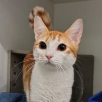 Photo of Calvin