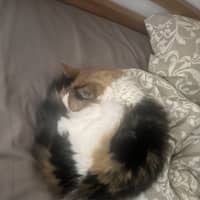 Photo of Miss Sassy Pants
