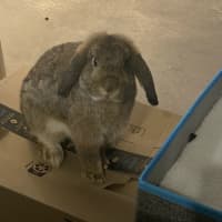 Photo of Eliott