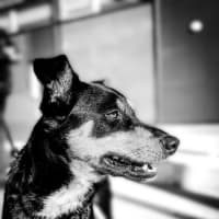 Photo of Isla 