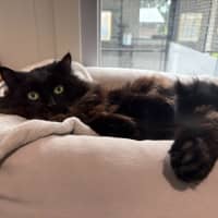 Photo of Sid