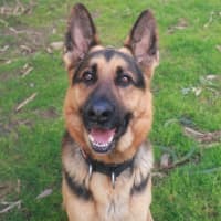 Photo of Max