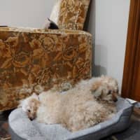 Photo of Angie And Naki Lozano