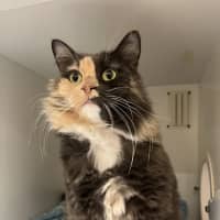 Photo of Madeline