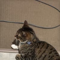 Photo of Blinky & Sparrow