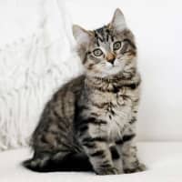 Photo of Ralph