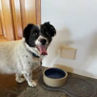 Photo of Sam Jablonski