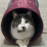 Photo of Don   In Foster Care In Mernda