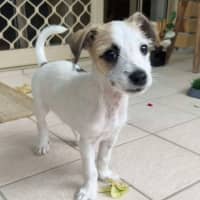 Photo of Marley Muddle