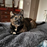 Photo of Tilly