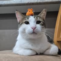 Photo of Leo
