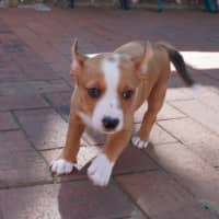 Photo of Calvin