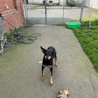Photo of Tilly
