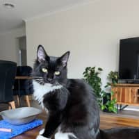 Photo of Albert