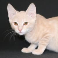 Photo of Ginny