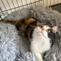 Photo of Poe