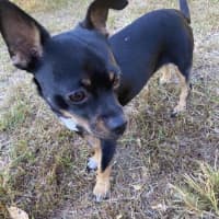 Photo of Norman & Hilda 