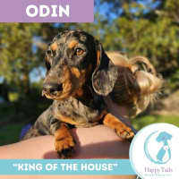 Photo of Odin